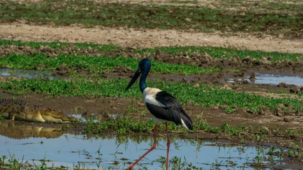 Kakadu National Park