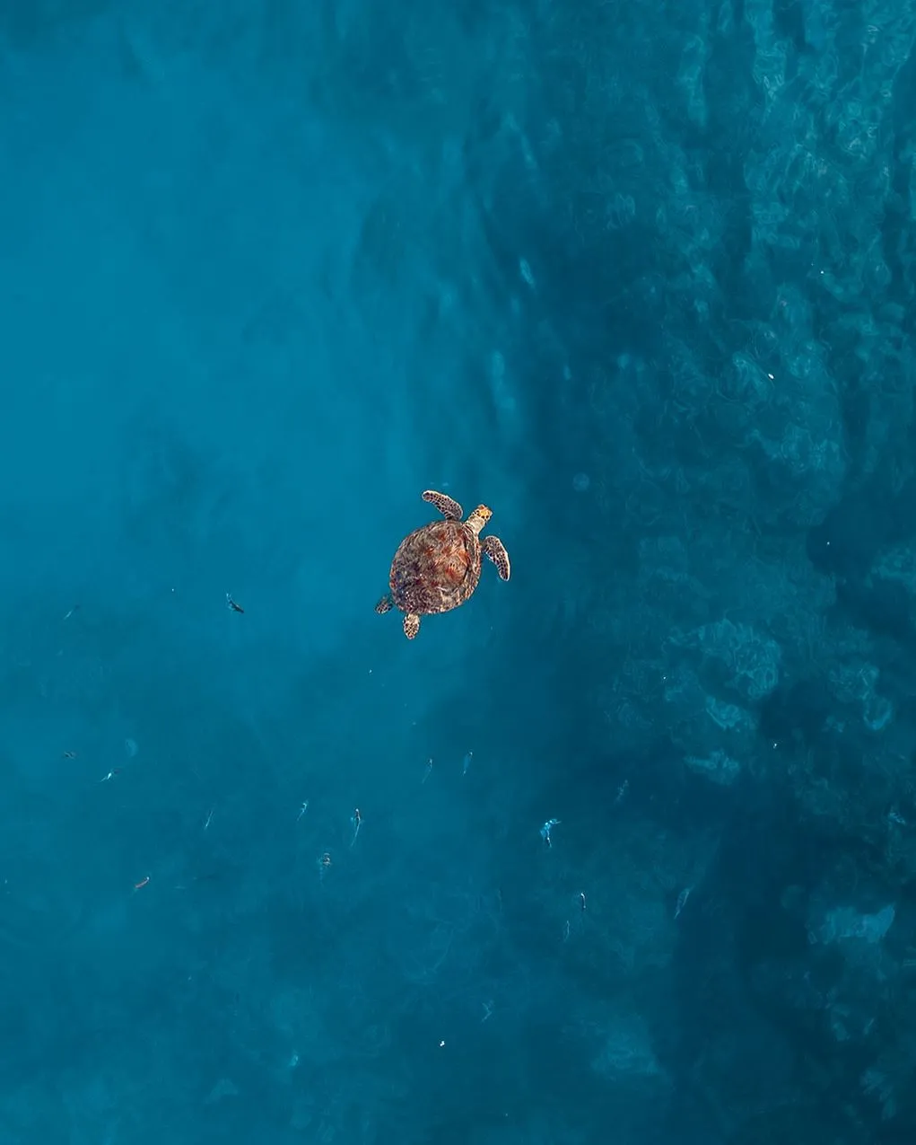 Navigating Tropical Conditions Safely