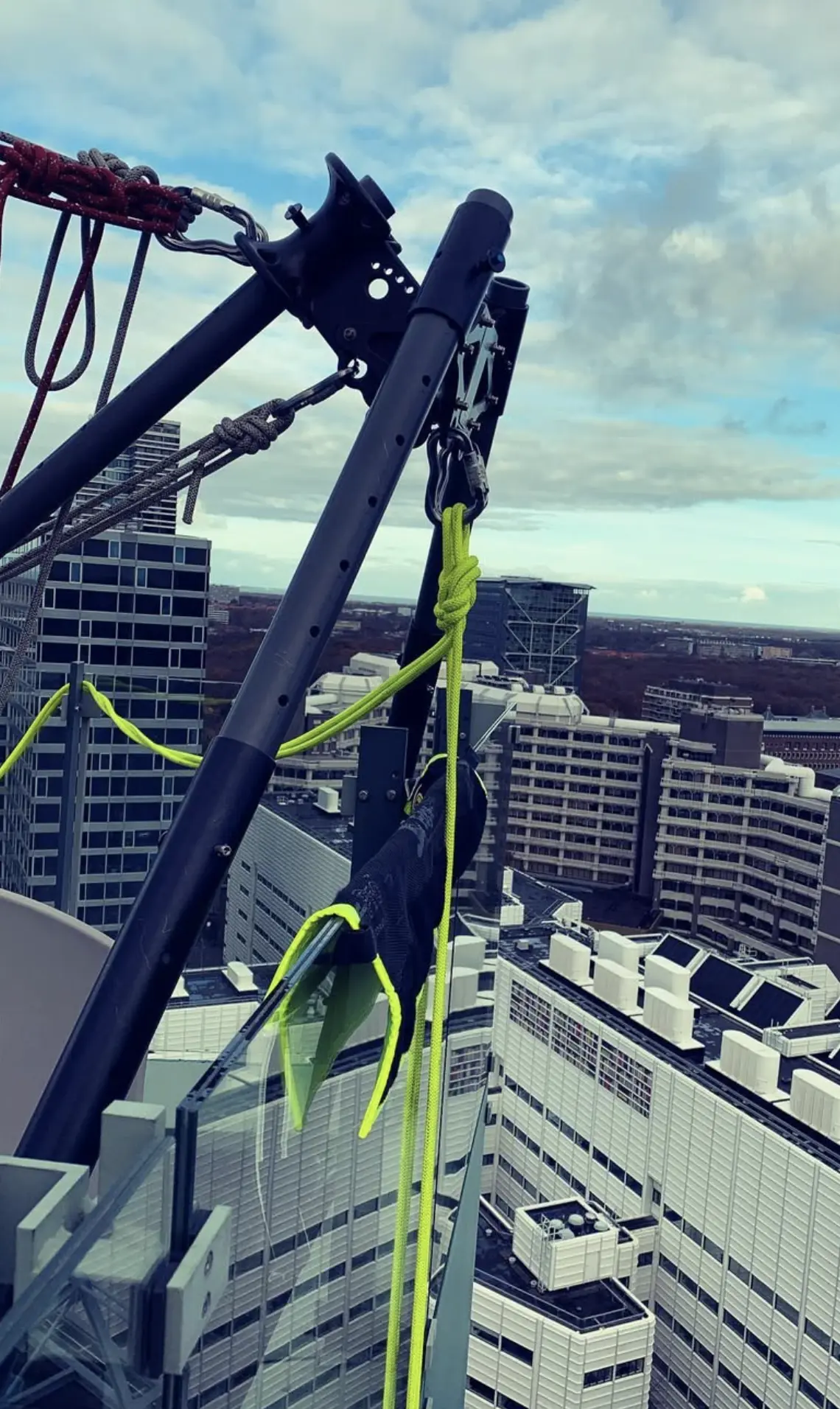 Professional Window Cleaners