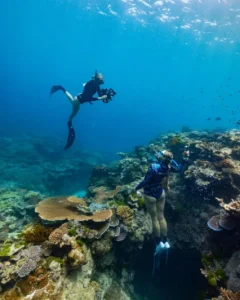 What Months Can You Swim In The Great Barrier Reef