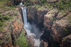 Bodega Enlatado | Explore the Wonders of Pinnacles National Park - A Guide for Nature Enthusiasts